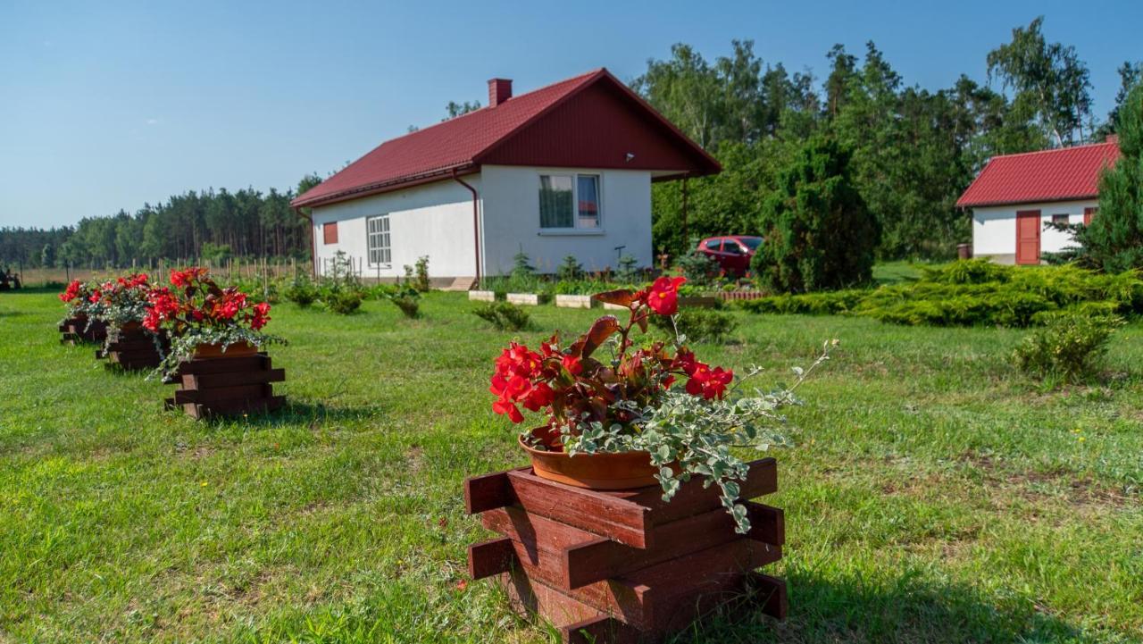Siedlisko Pod Lasem Zwierzyniec Kültér fotó